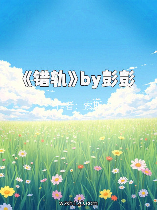 《错轨》by彭彭