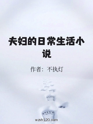 夫妇的日常生活小说