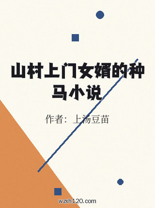 山村上门女婿的种马小说