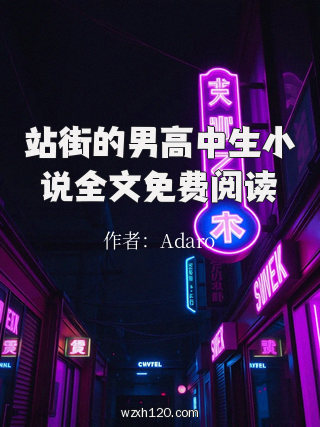 站街的男高中生小说全文免费阅读