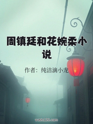周镇廷和花婉柔小说