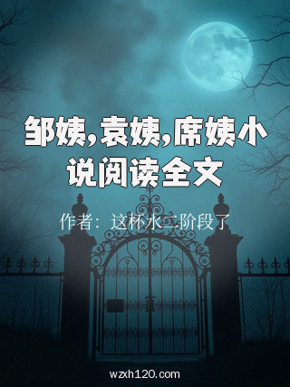 邹姨,袁姨,席姨小说阅读全文