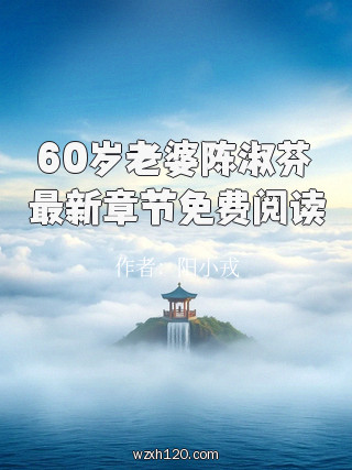 60岁老婆陈淑芬最新章节免费阅读