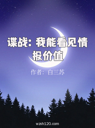 谍战:我能看见情报价值