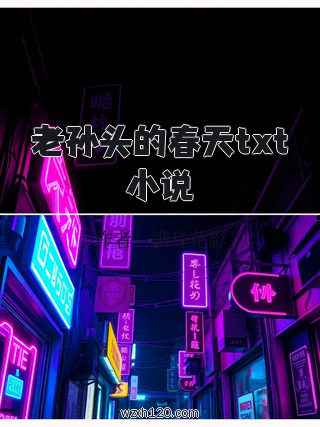 老孙头的春天txt小说
