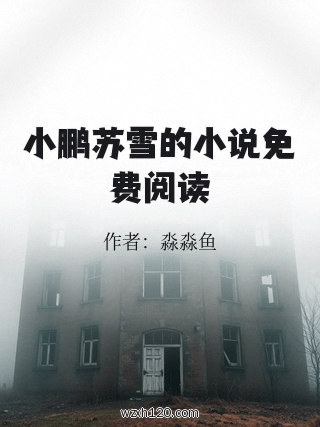 小鹏苏雪的小说免费阅读