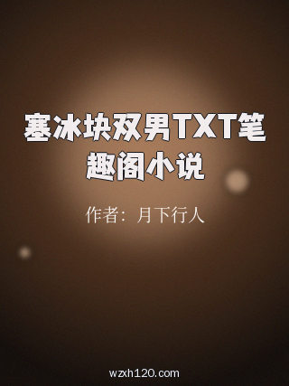 塞冰块双男TXT笔趣阁小说
