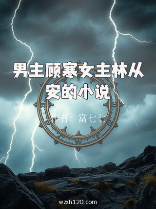 男主顾寒女主林从安的小说