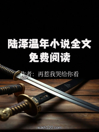 陆泽温年小说全文免费阅读