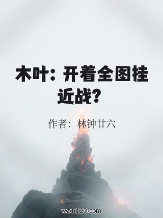 木叶:开着全图挂近战?