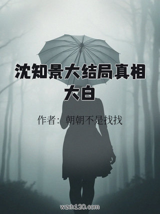 沈知景大结局真相大白
