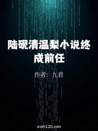 陆砚清温梨小说终成前任