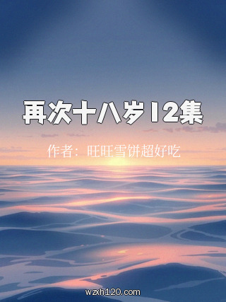 再次十八岁12集