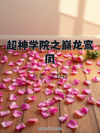 超神学院之巅龙鸾凤