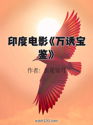 印度电影《万诱宝鉴》