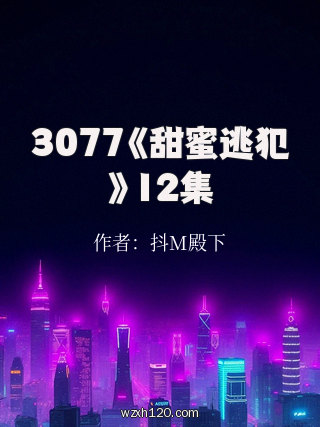 3077《甜蜜逃犯》12集