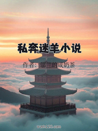 私奔迷羊小说