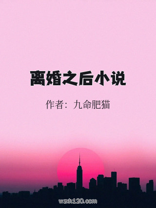 离婚之后小说