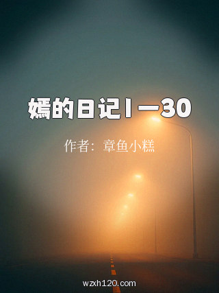嫣的日记1一30