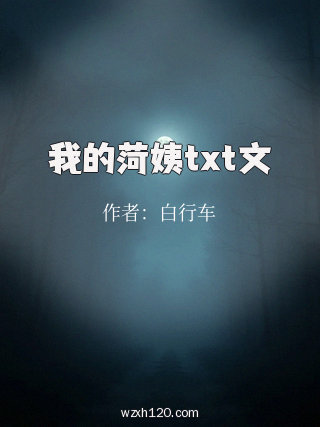 我的菏姨txt文