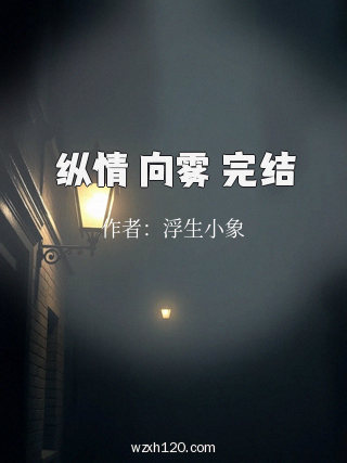 纵情 向雾 完结
