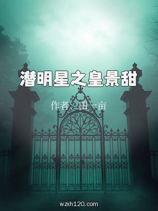 潜明星之皇景甜