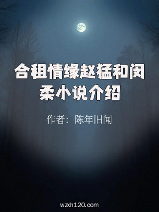 合租情缘赵猛和闵柔小说介绍