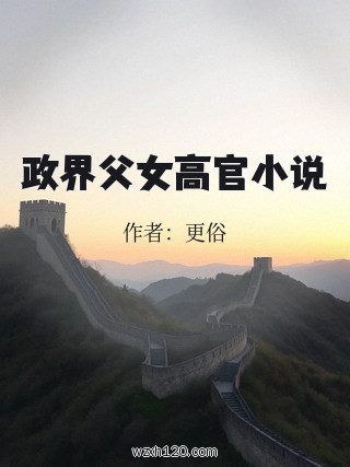 政界父女高官小说