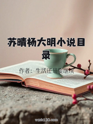 苏晴杨大明小说目录