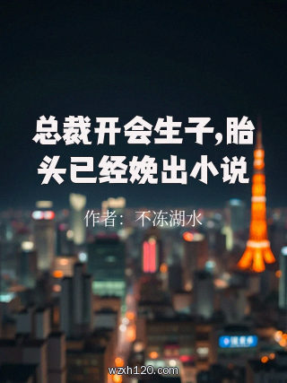 总裁开会生子,胎头已经娩出小说
