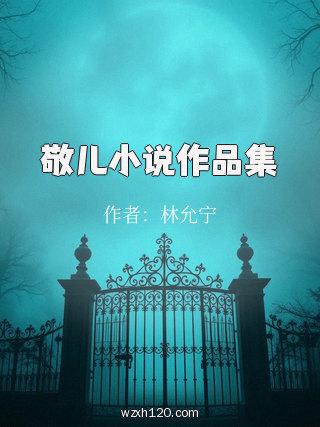 敬儿小说作品集