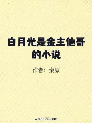白月光是金主他哥的小说