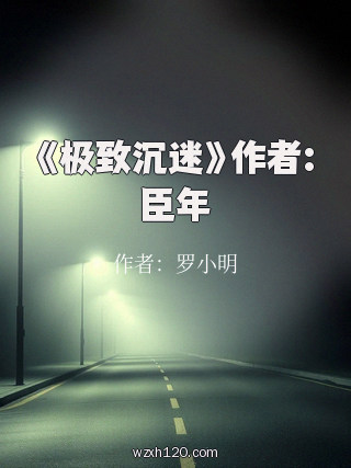《极致沉迷》作者:臣年