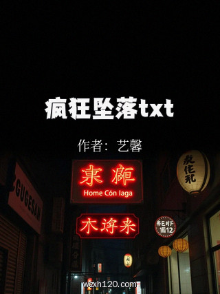 疯狂坠落txt