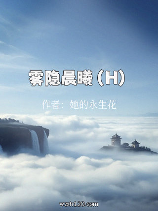雾隐晨曦(H)