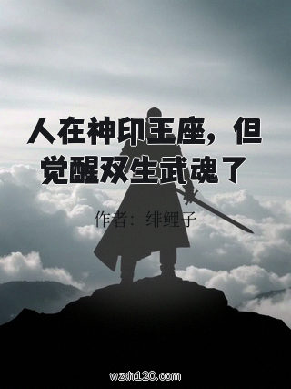 人在神印王座,但觉醒双生武魂了