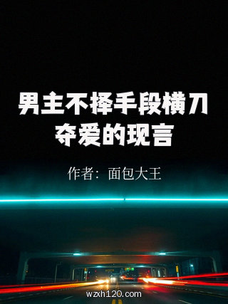 男主不择手段横刀夺爱的现言