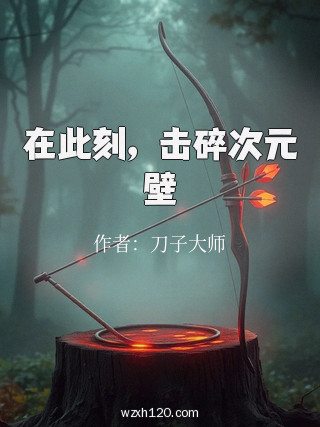 在此刻,击碎次元壁