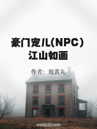 豪门宠儿(NPC) 江山如画