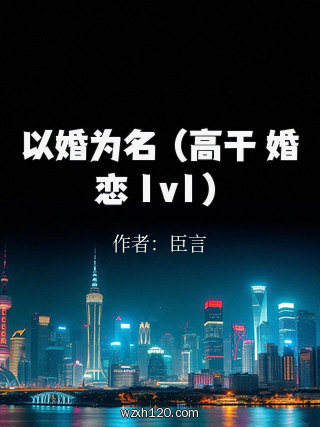 以婚为名 (高干 婚恋 1v1)
