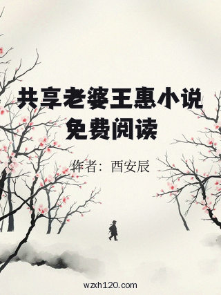 共享老婆王惠小说免费阅读
