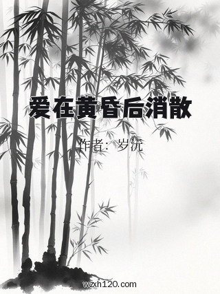 爱在黄昏后消散