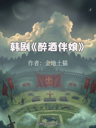韩剧《醉酒伴娘》