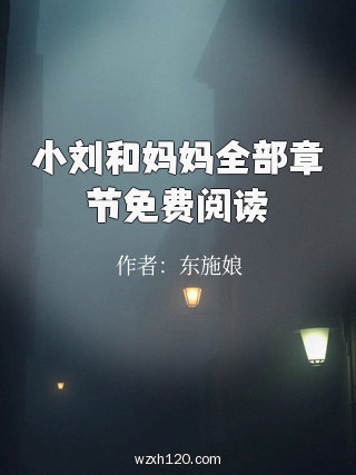 小刘和妈妈全部章节免费阅读
