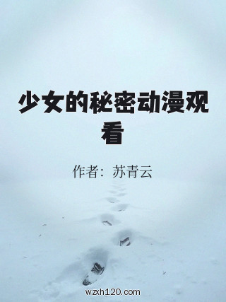 少女的秘密动漫观看