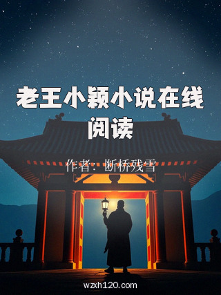 老王小颖小说在线阅读