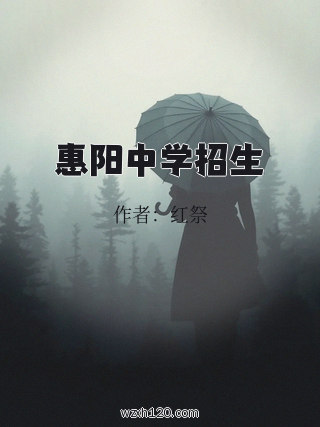 惠阳中学招生