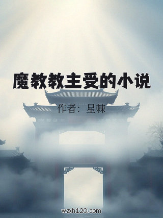 魔教教主受的小说