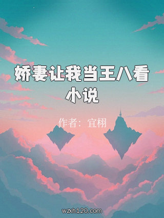 娇妻让我当王八看小说