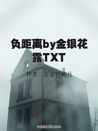 负距离by金银花露TXT